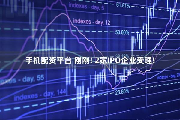 手机配资平台 刚刚! 2家IPO企业受理!